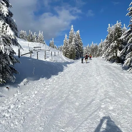 Am Berg & * Turracher Hoehe