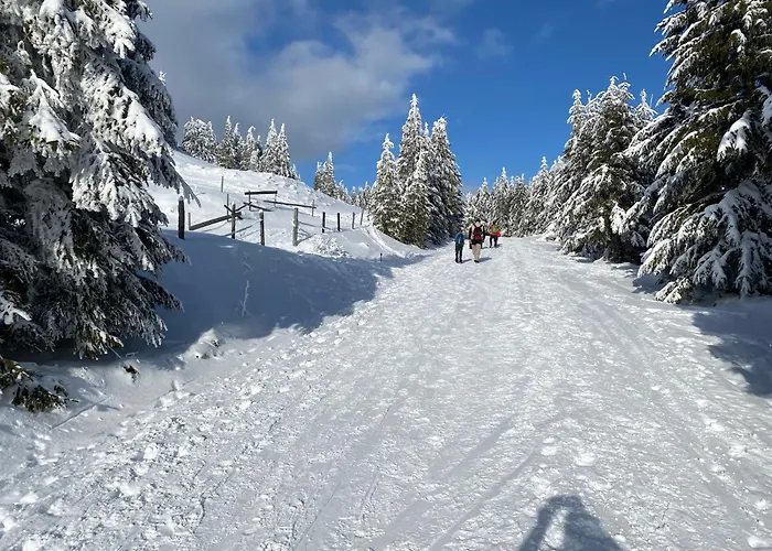 Am Berg & * Turracher Hohe